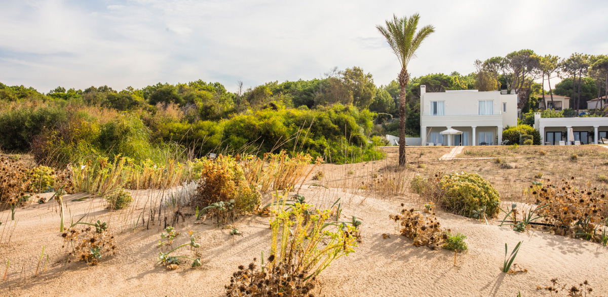 10-villa-apollonia-beachfront-luxury-accommodation-in-mandola-rosa